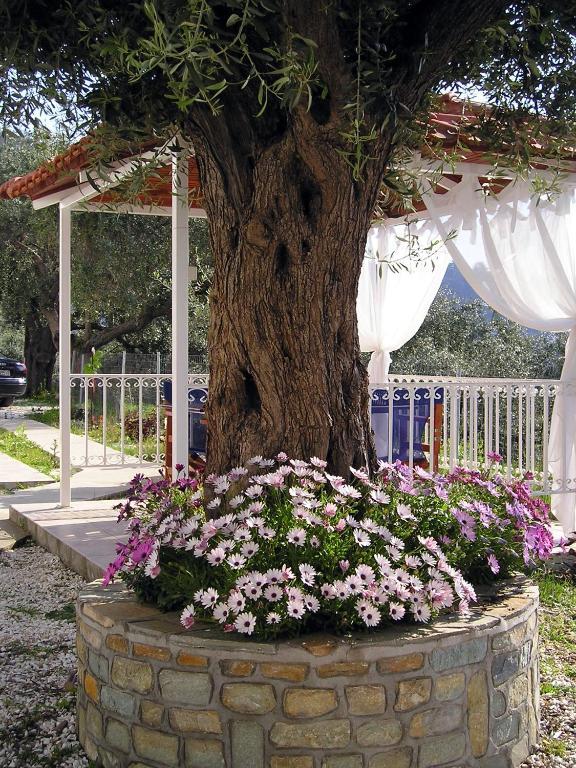 Golden Beach Inn Hriszí Amudiá Szoba fotó
